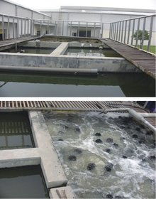 生活污水 小排量的日常，大环境的隐忧