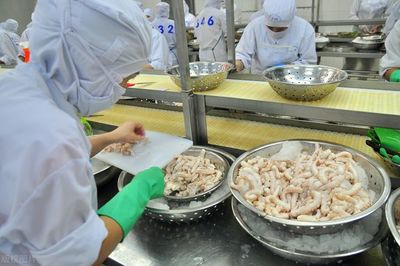 3个方面影响建污水处理站,海产品加工企业如何去选择?